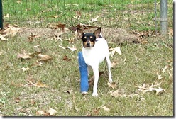 Max in his cast