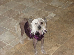 Tiffany in her Purple party dress